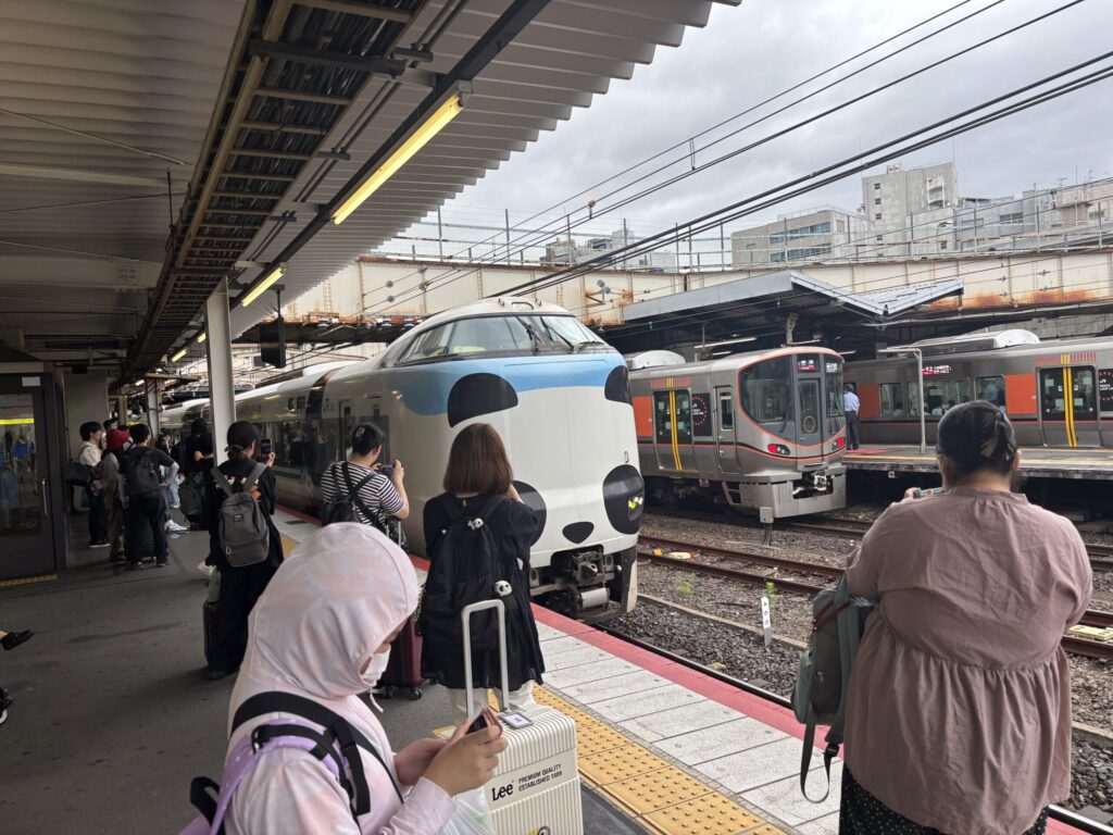 特急くろしお1号が天王寺駅ホームに到着する画像。パンダ車両になっている。