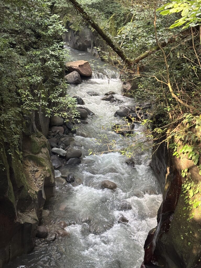 霧島神水峡の写真