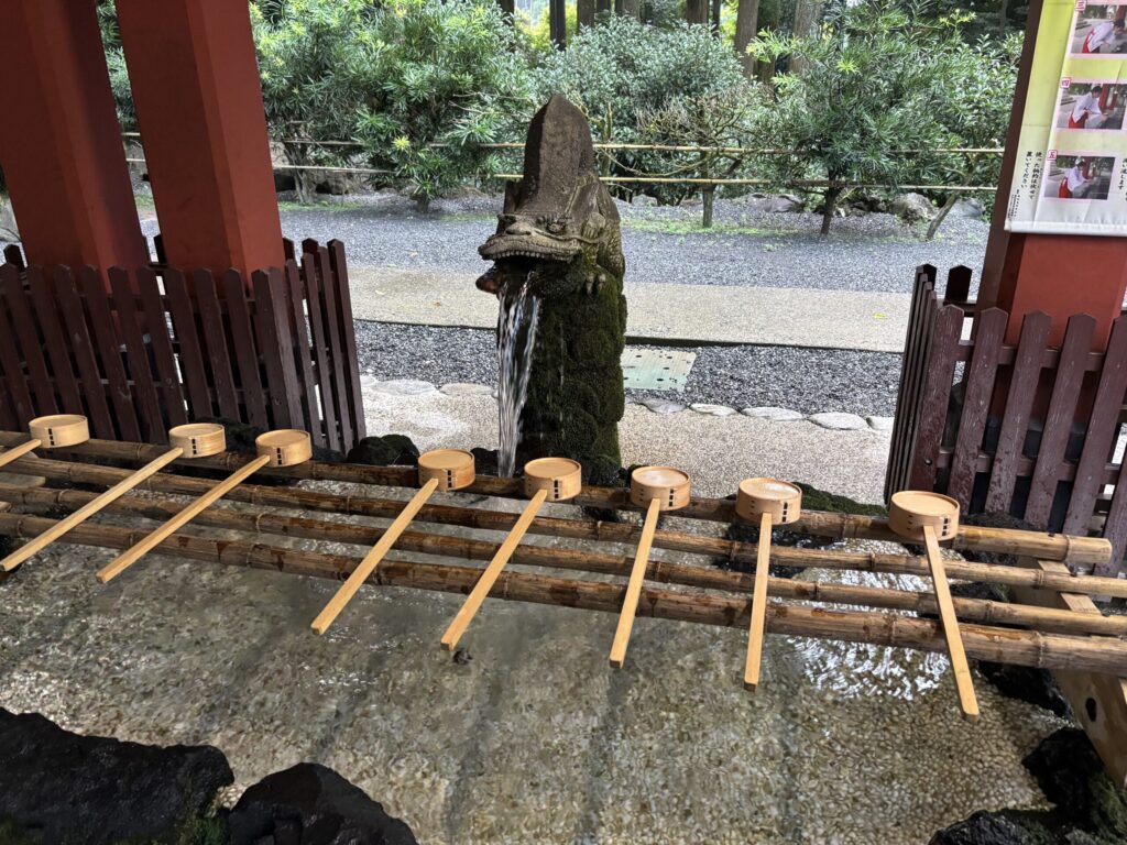 手水舎　龍の口から水が出ている写真