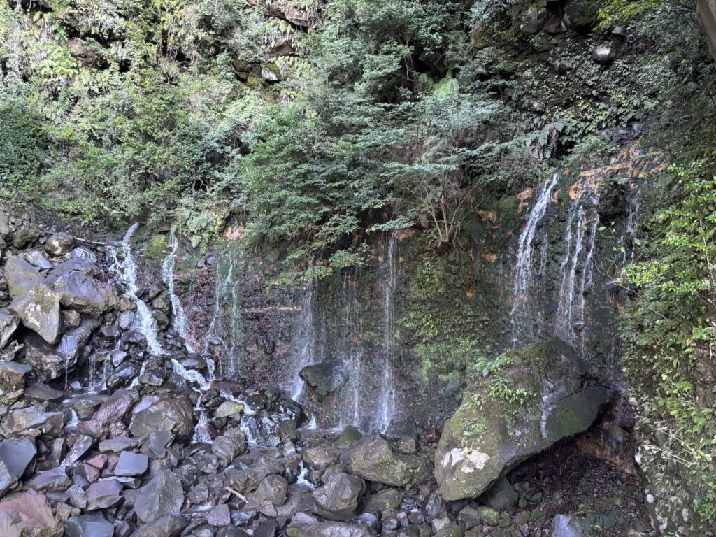 霧島神宮千滝の写真