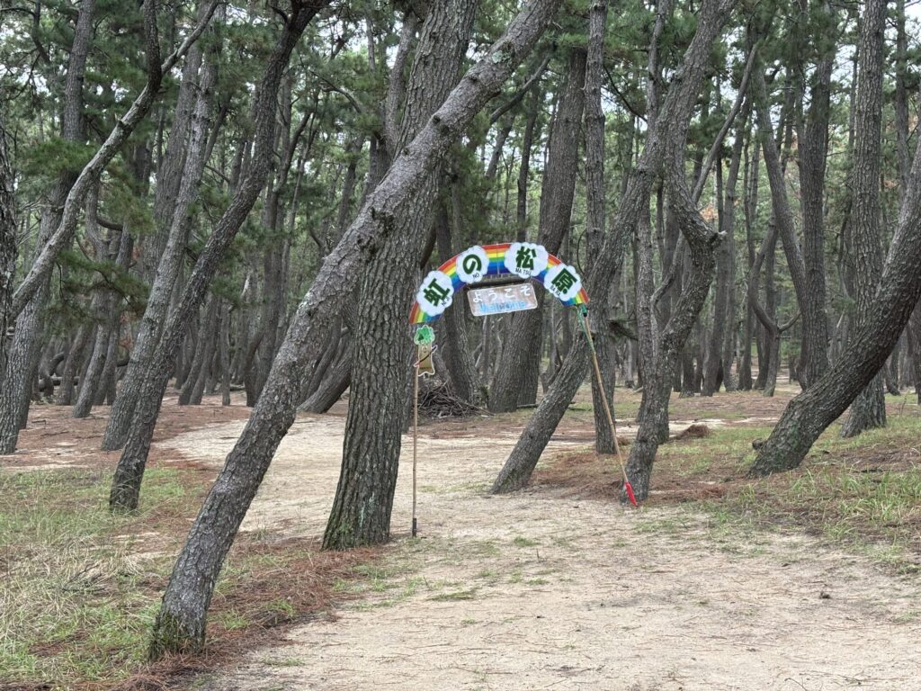 虹の松原入口門を含めた松林の写真