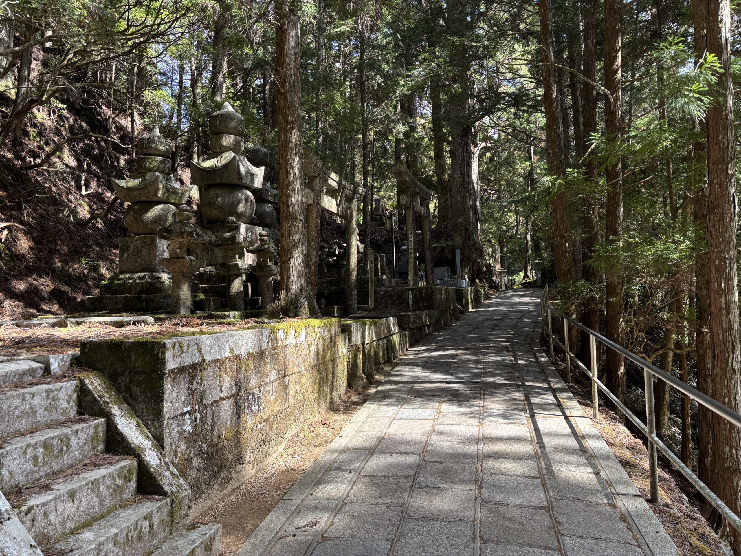 巨大杉と墓石の間を通る高野山奥之院参道