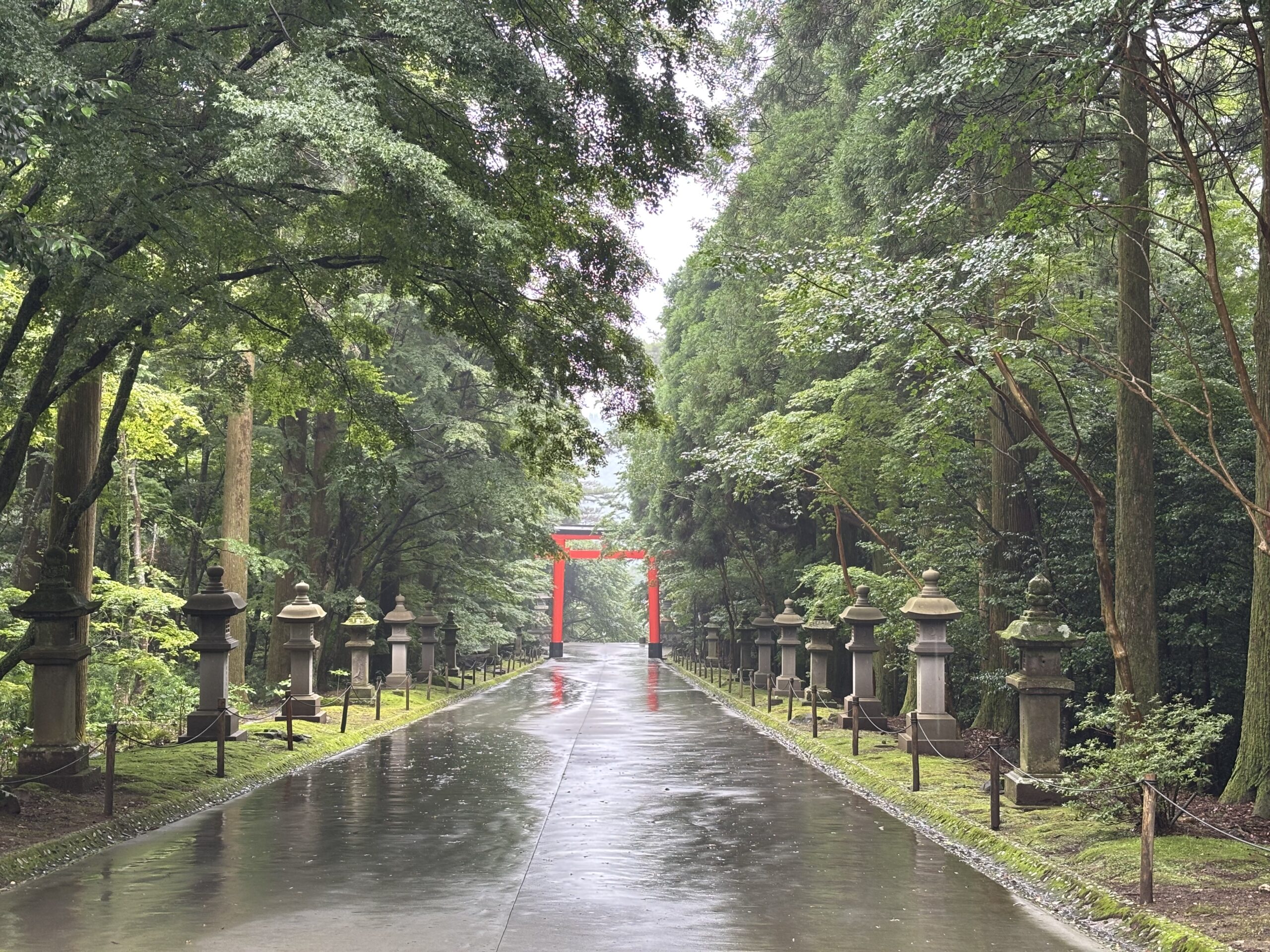 雨に濡れた霧島神宮境内：雨でも清々しさは変わらず