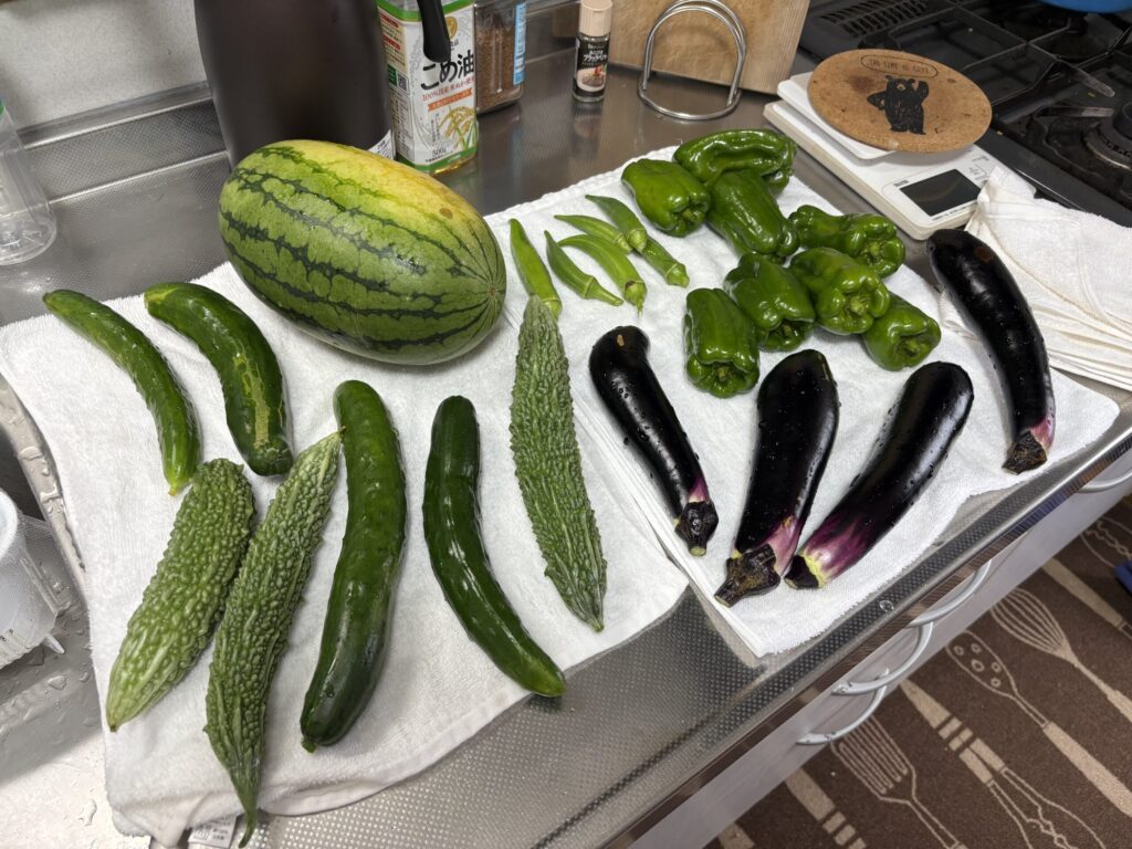 旬の夏野菜：スイカ・オクラ・ピーマン・ナス・きゅうり・ゴーヤ