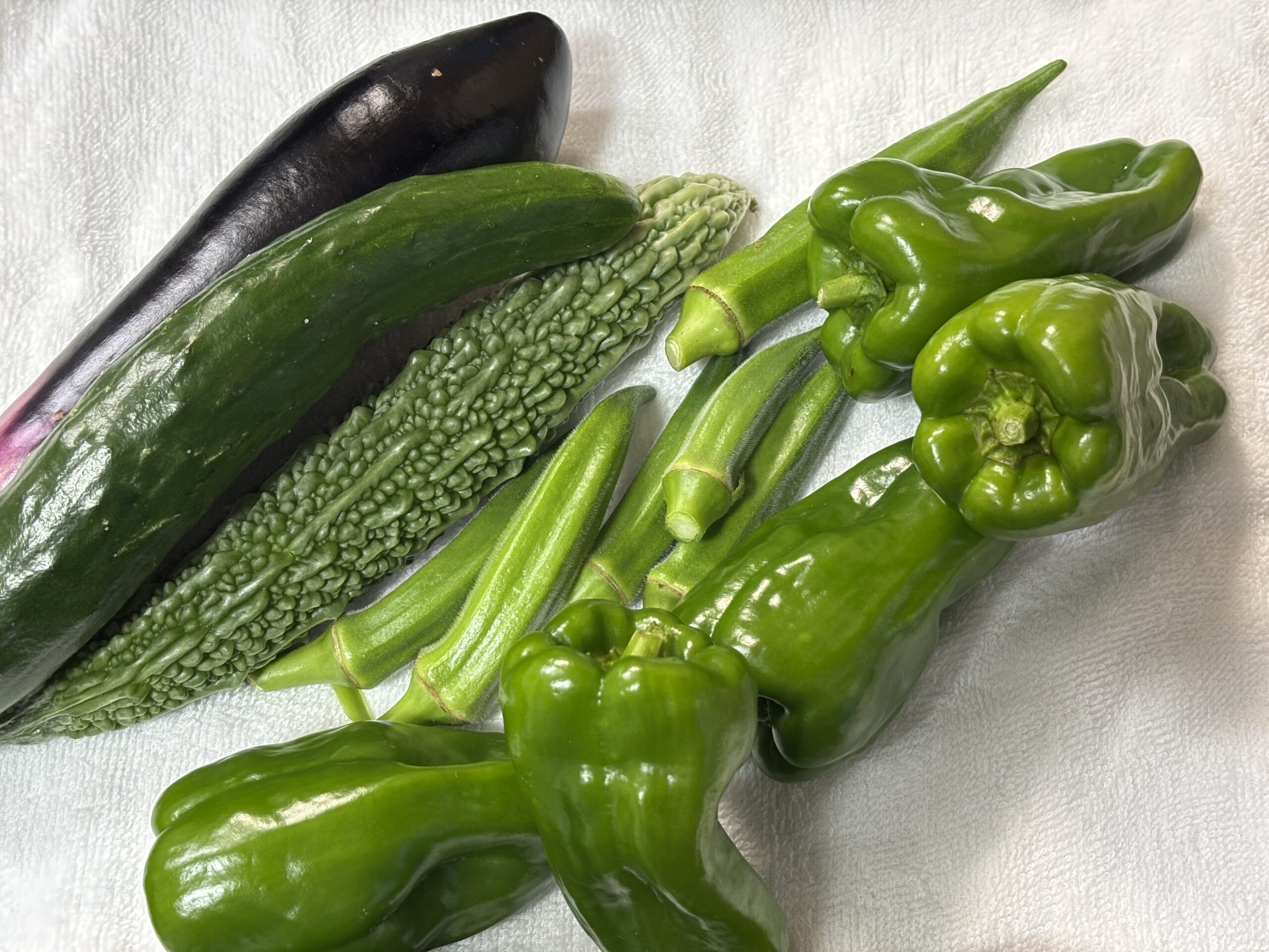 旬の夏野菜：ピーマン・オクラ・ゴーヤ・キュウリ・ナス