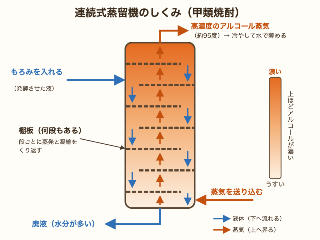 連続式蒸留機の断面図。塔の中に棚板が何段もあり、もろみは上から入って下へ流れ、蒸気は下から昇る。上ほどアルコールが濃くなり、最上部から約95度のアルコール蒸気を取り出す