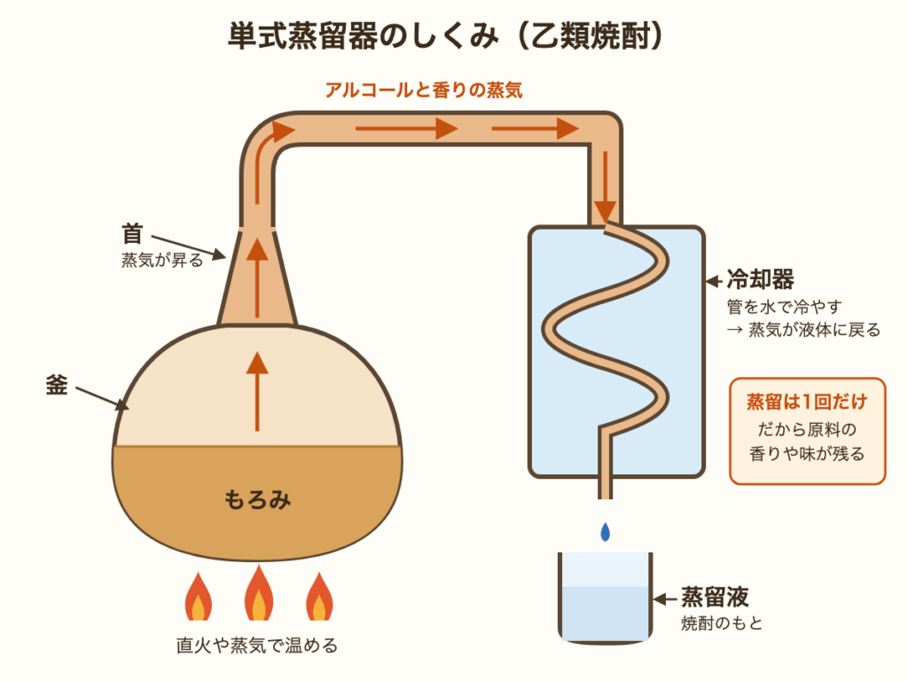 単式蒸留器の断面図。釜でもろみを温め、蒸気が首を昇って管を通り、水で冷やす冷却器で液体に戻って蒸留液になる
